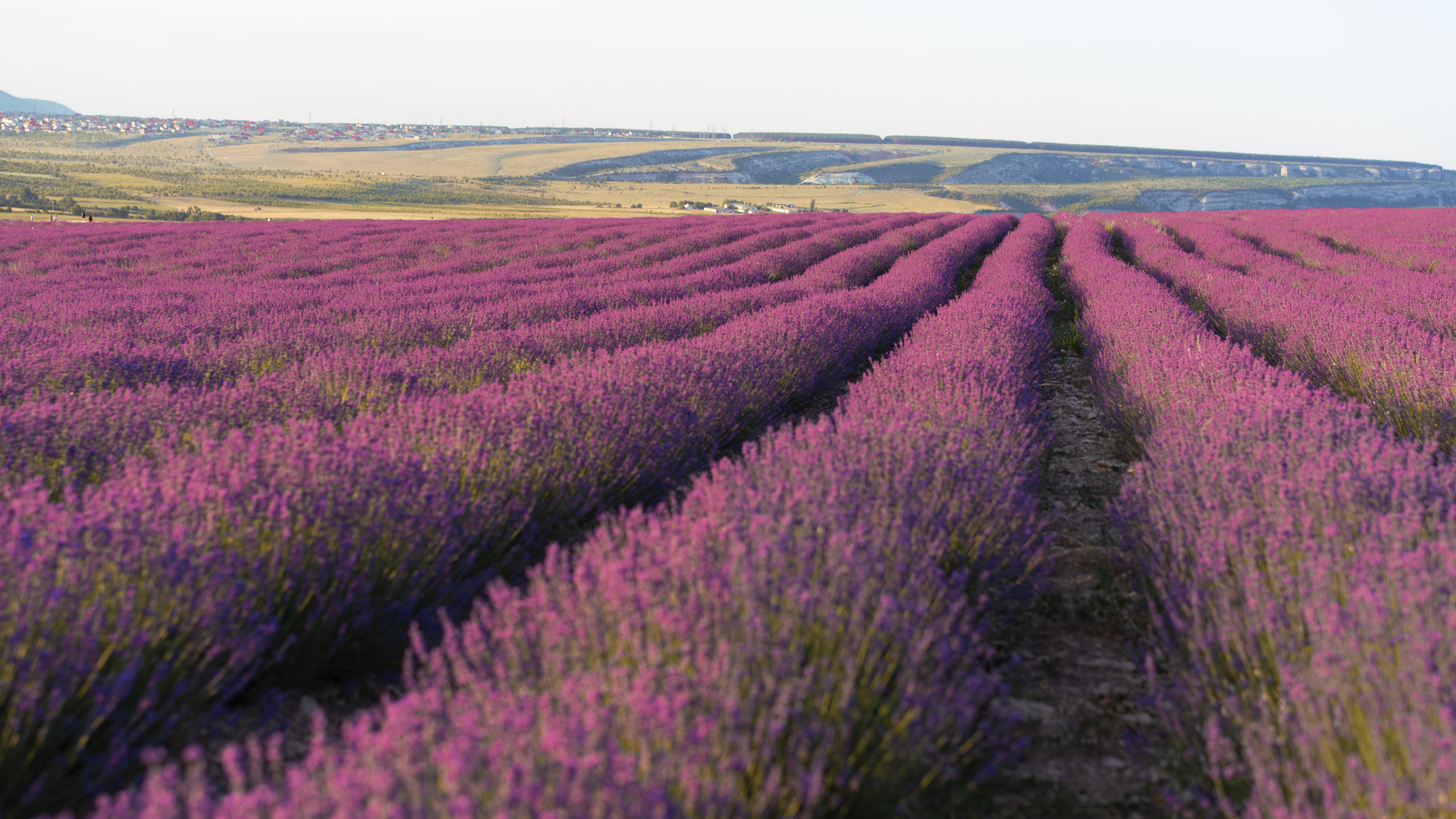 Sustainable Sourcing